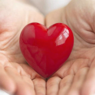 Heart Health & Circulation